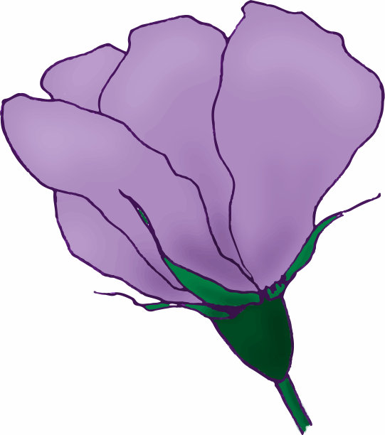 产于热带的紫丁香花图片下载