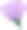 产于热带的紫丁香花图片下载