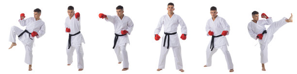 男子战士的肖像在白色图片下载