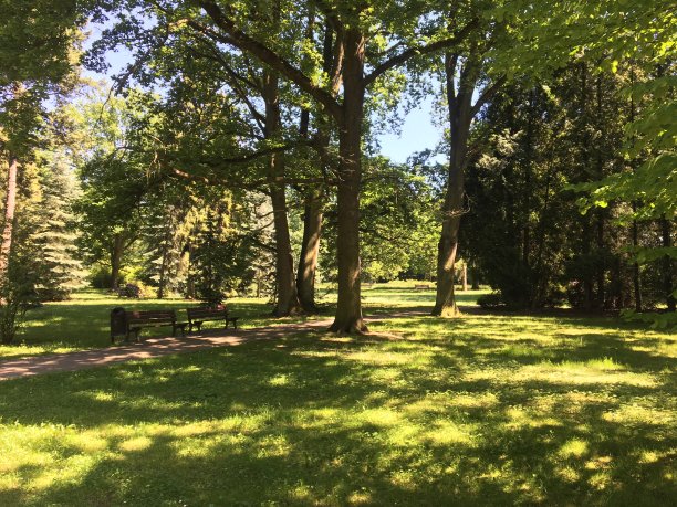 日式花园图片下载