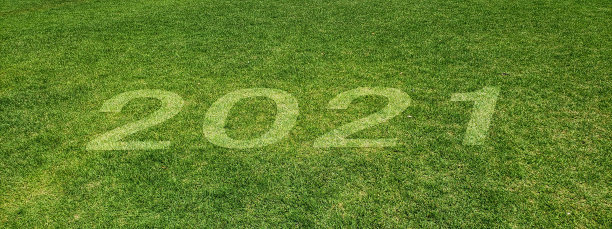3D插图的2021数字出现在绿色草地上图片下载