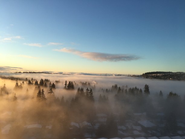 日出中的雾图片下载