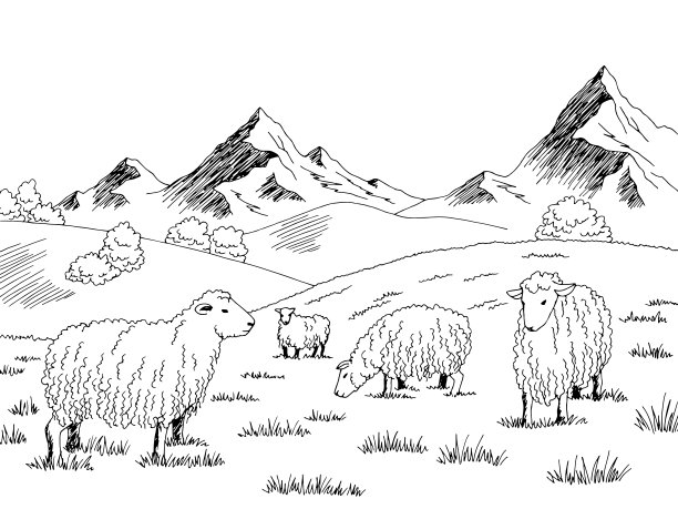 绵羊在山上的草地上吃草图形的黑白素描插图向量图片下载