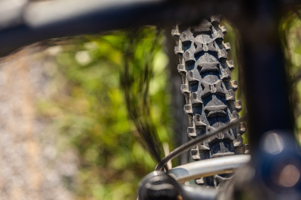 山地自行车轮胎，详细视图图片下载