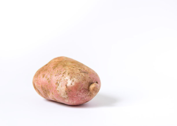 白色背景上的生土豆图片下载
