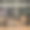 小狗在沙发上图片下载
