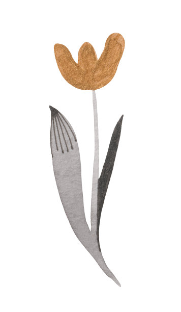 波西米亚风格水彩画植物图片下载