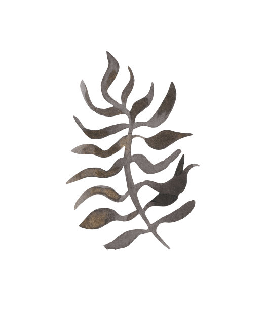 波西米亚风格的水彩植物图片下载