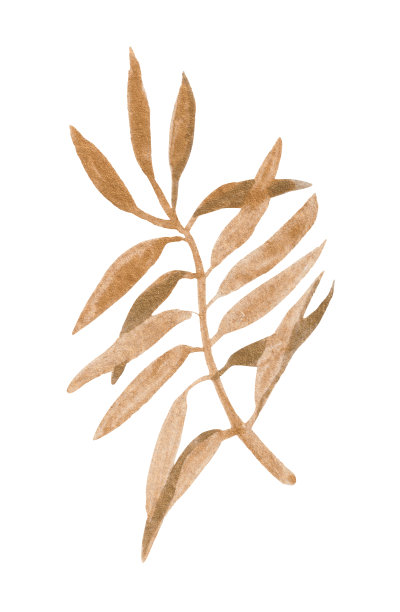 波西米亚风格水彩画植物图片下载