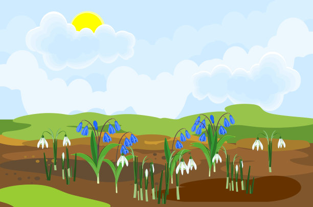 盛开的雪花莲和西伯利亚鹅毛或西伯利亚Scilla西伯利亚植物与鲜花和绿色的叶子从地面上生长在春天的景观背景图片下载