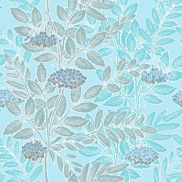 山白蜡树的树枝和果实。墙纸和织物的无缝图案。背景说明。手绘轮廓。园林植物的开花抽象工厂图片。向量图片下载