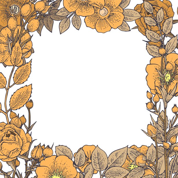 玫瑰果花。无缝的框架。背景说明。手绘轮廓。园林植物的开花抽象工厂图片。向量图片下载