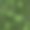 莉莉花。墙纸和织物的无缝图案。背景说明。手绘轮廓。园林植物的开花抽象的花卉图片与蝴蝶。向量图片下载