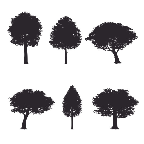 一组孤立在白色背景上的树的轮廓。向量。图片下载