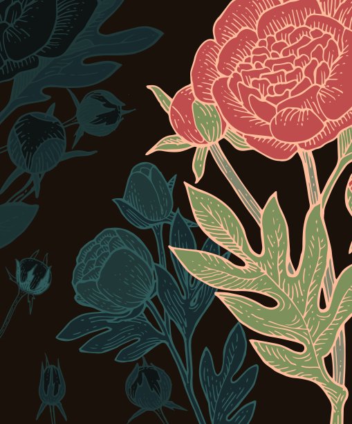 牡丹,玫瑰花朵。背景说明。手绘轮廓。园林植物的开花抽象工厂图片。向量图片下载