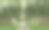 漫步在美丽的竹林中。三维动画图片下载