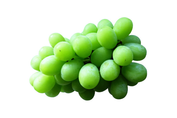 马斯喀特的剪影照片。图片下载