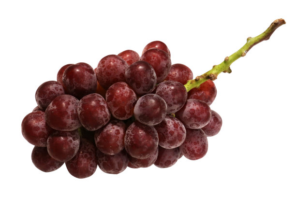 葡萄的剪影照片。图片下载