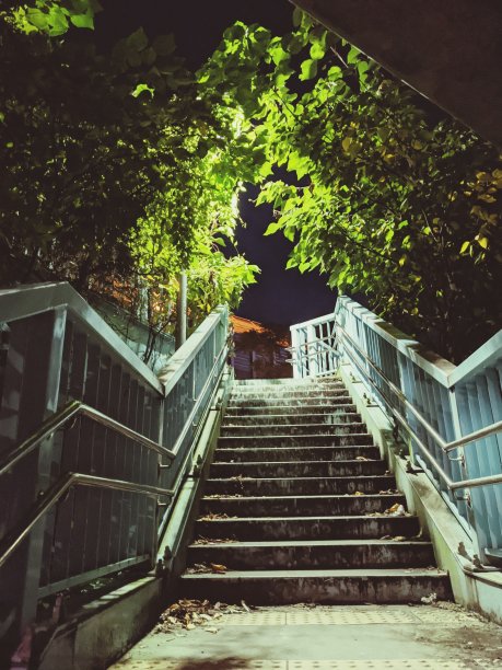 晚上有灯光的楼梯和树。图片下载