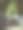 晚上有灯光的楼梯和树。图片下载