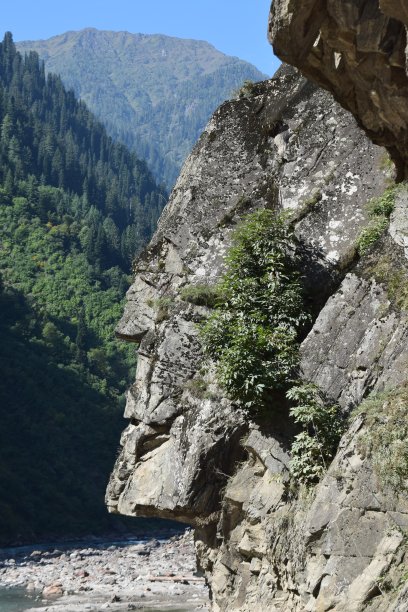 石头的男人的脸图片下载