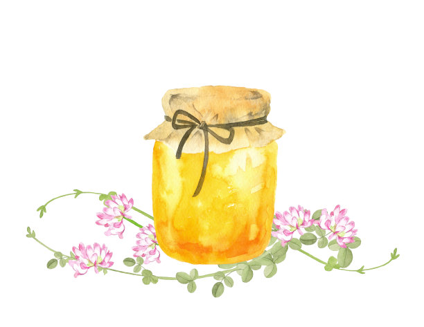 蜂蜜和紫菀花图片下载