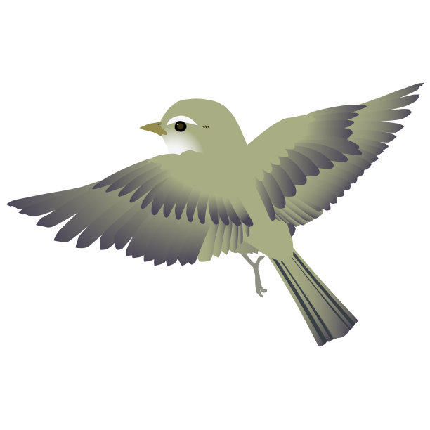 可爱的野鸟莺矢量插图图片下载