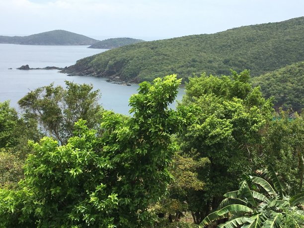 岛的观点图片下载