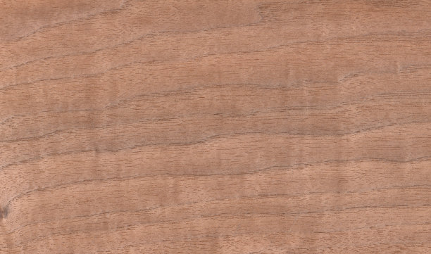 浅棕色木单板。图片下载