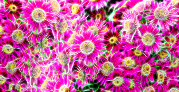 抽象分形背景与粉红色菊花图片下载