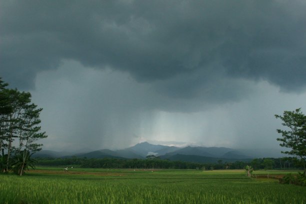 雨图片下载