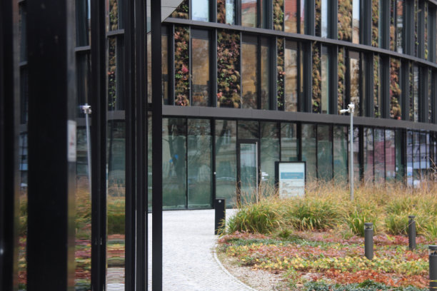 可持续发展办公室图片下载