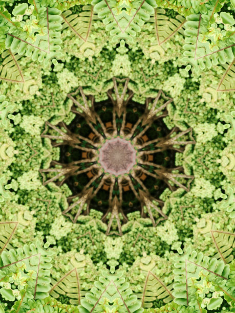 万花筒油画的叶子背景图片下载