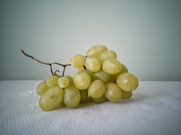 白桌布上有一串白葡萄和水滴图片下载