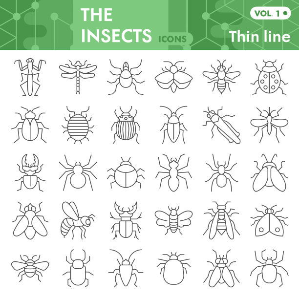 昆虫细线图标设置昆虫甲虫图片下载