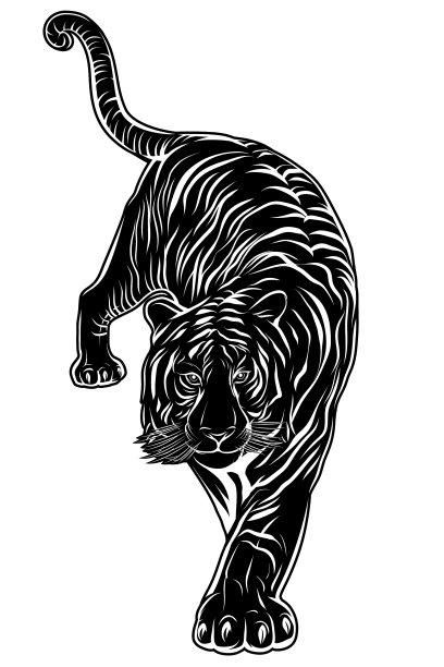 老虎上前剪影图片下载