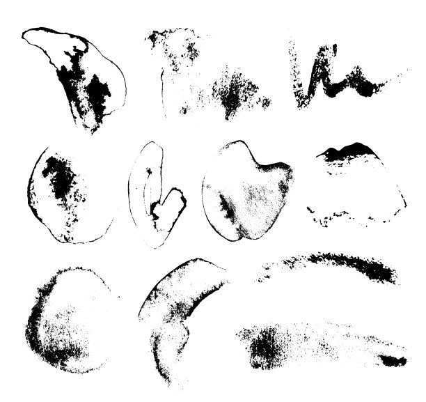 设定手绘笔刷笔画污渍图片下载