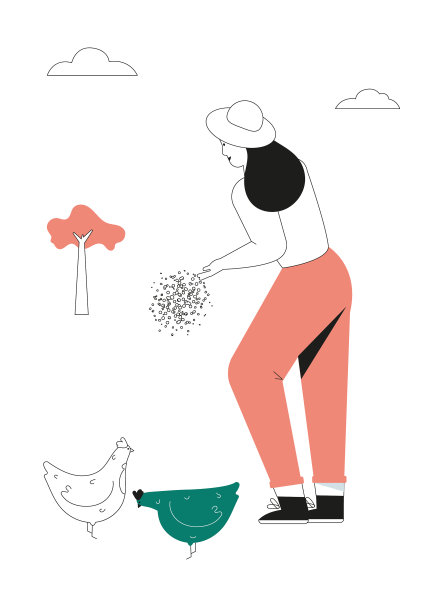 妇女喂鸡的农民在农场工作图片下载