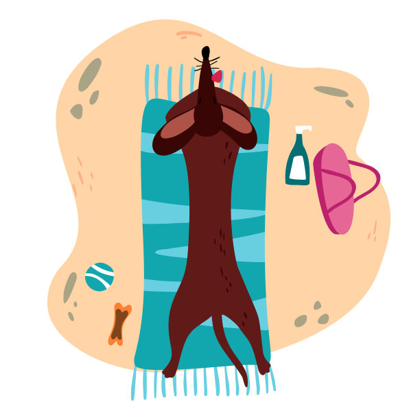 一个可爱的腊肠图片下载