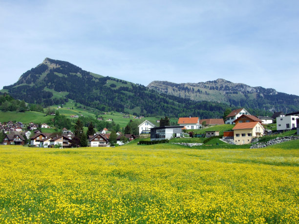 瑞士圣加伦州，图尔河谷和奥伯托根堡地区的新圣约翰村图片下载