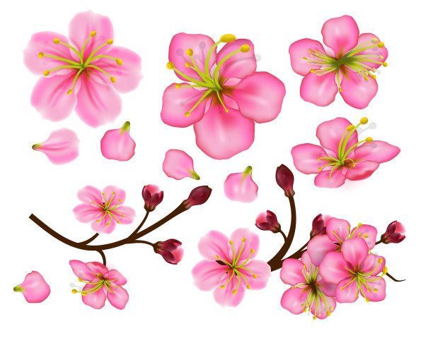 集花开花细枝樱的图案图片下载