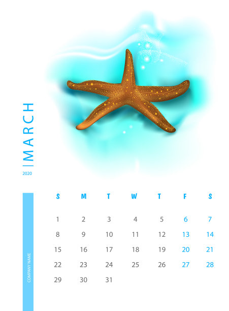 用海星设计的2020年日历图片下载