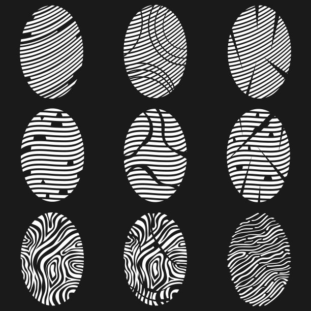 指纹。在黑色背景上分离出白色指纹。向量,卡通插图。向量。图片下载