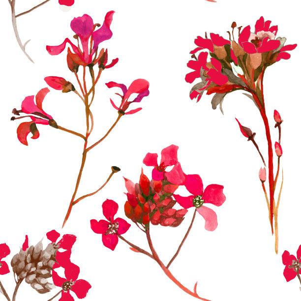 水彩野花孤立无缝图案。图片下载