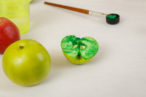 苹果印在衣服上的过程。步进指令图片下载