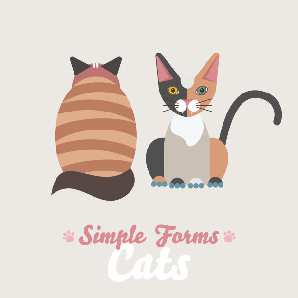 平猫坐向后和前视孤立矢量。卡通插图家猫标志图标图片下载