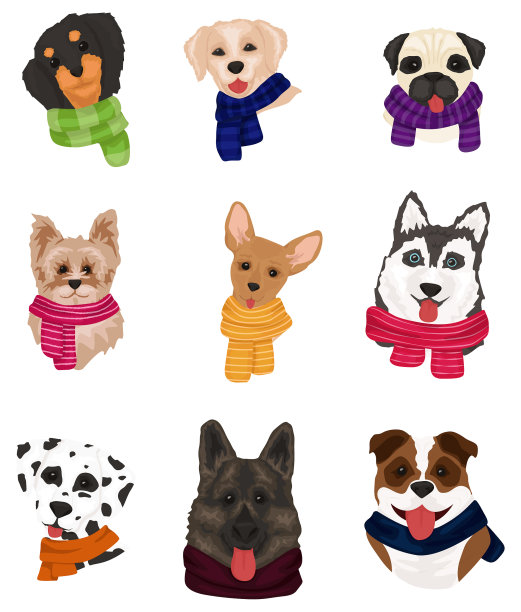 可爱的小狗图片下载