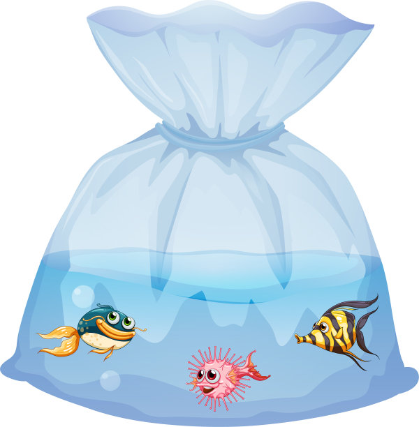 可爱的鱼在塑料袋卡通隔离图片下载