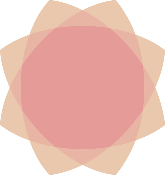 几何花形图标平面风格图片下载