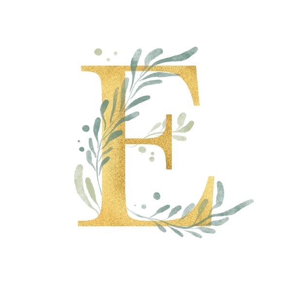 金色字母E与水彩元素插图。白色背景隔离图片下载